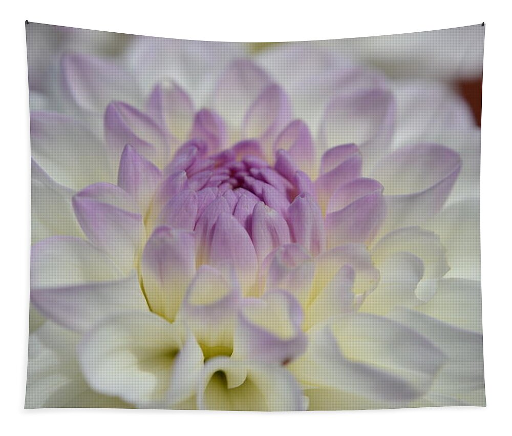 Dahlia Tapestry featuring the photograph Evelyn's Dahlia by Kathy Paynter