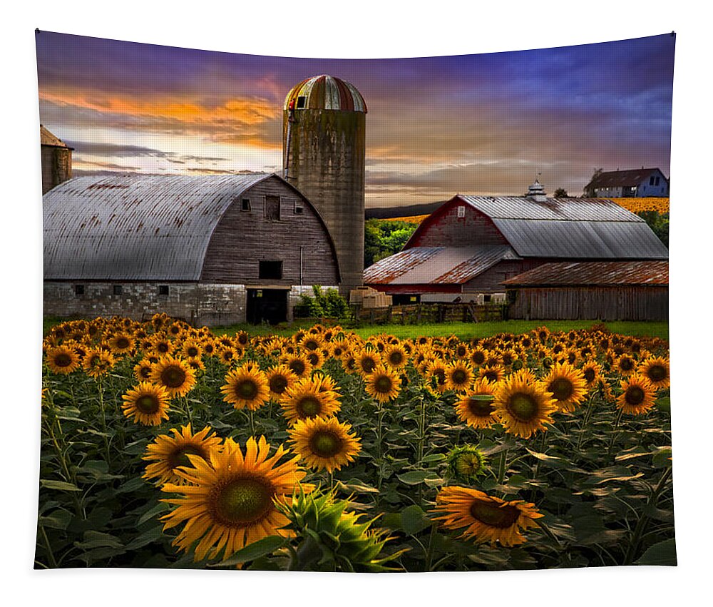 Barn Tapestry featuring the photograph Evening Sunflowers by Debra and Dave Vanderlaan