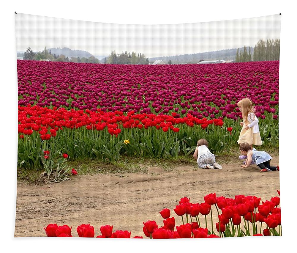 Tulips Tapestry featuring the photograph Exploring the Tulip Fields by Jennifer Wheatley Wolf