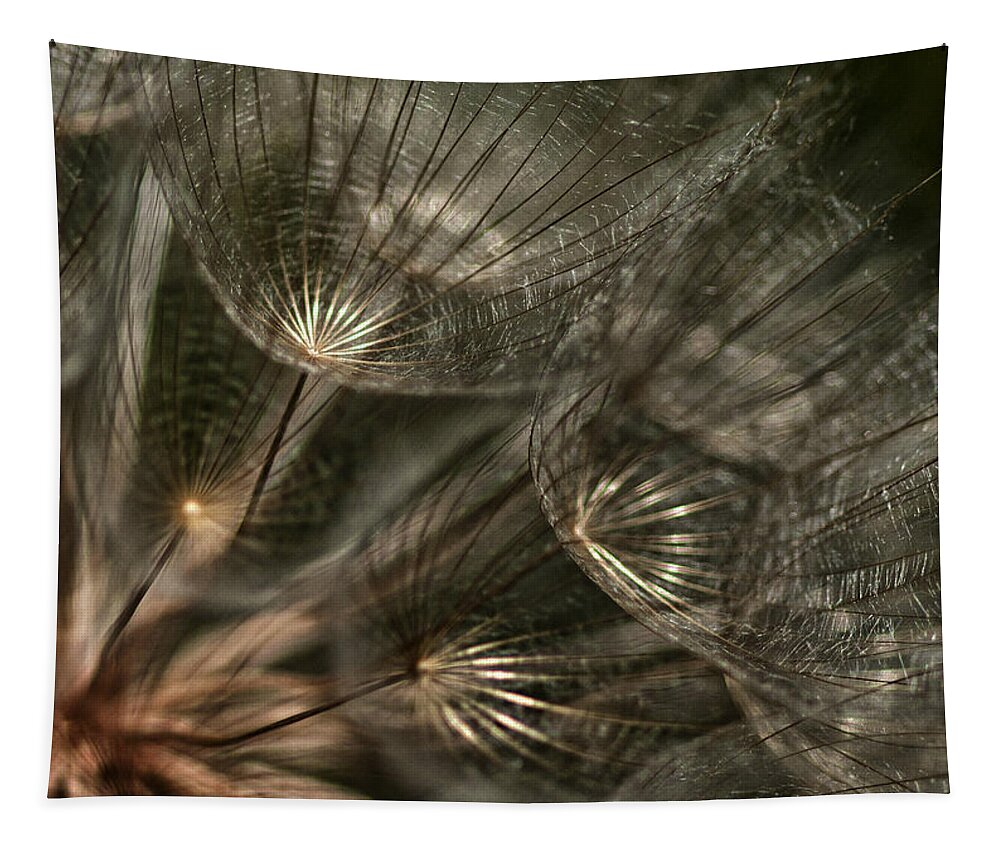 Dandelion Tapestry featuring the photograph Explosion by Betty Depee