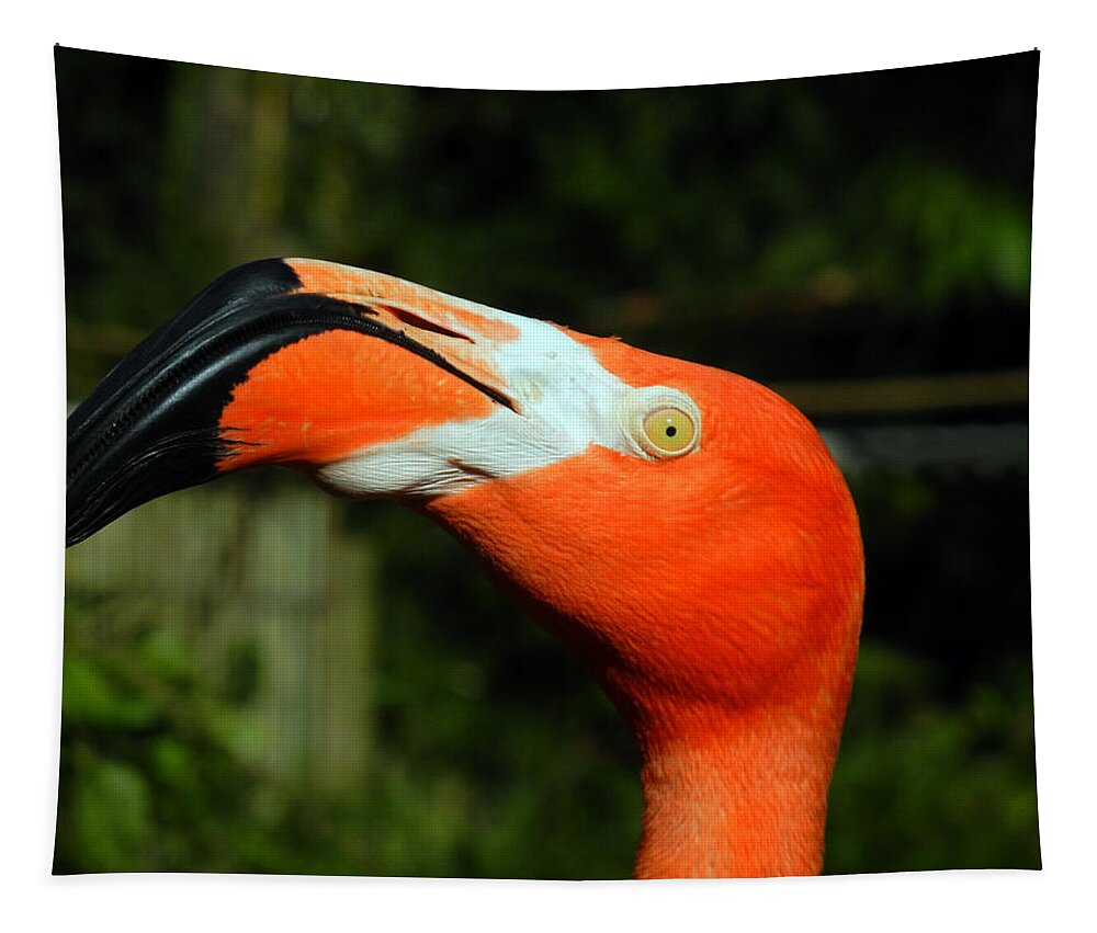 Flamingo Tapestry featuring the photograph Eye of the Flamingo by Bill Swartwout