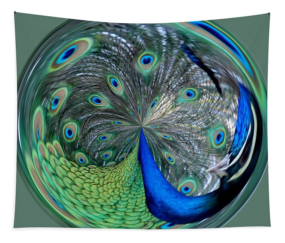 Eyes Tapestry featuring the photograph Eyes Of A Peacock by Cynthia Guinn