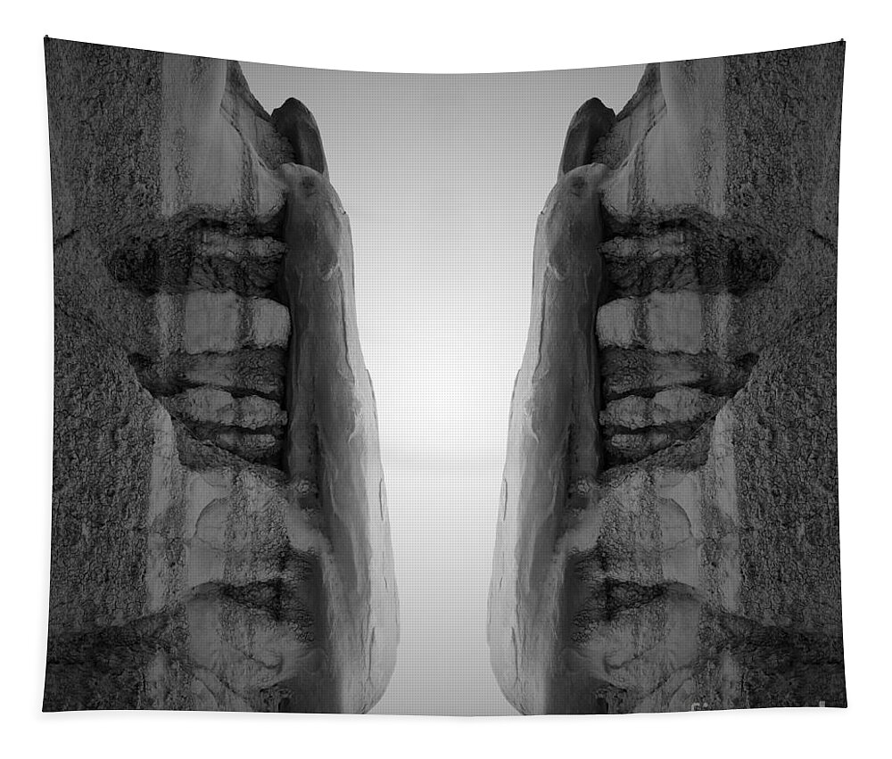 Black Tapestry featuring the photograph Face To Face Montage I by David Gordon