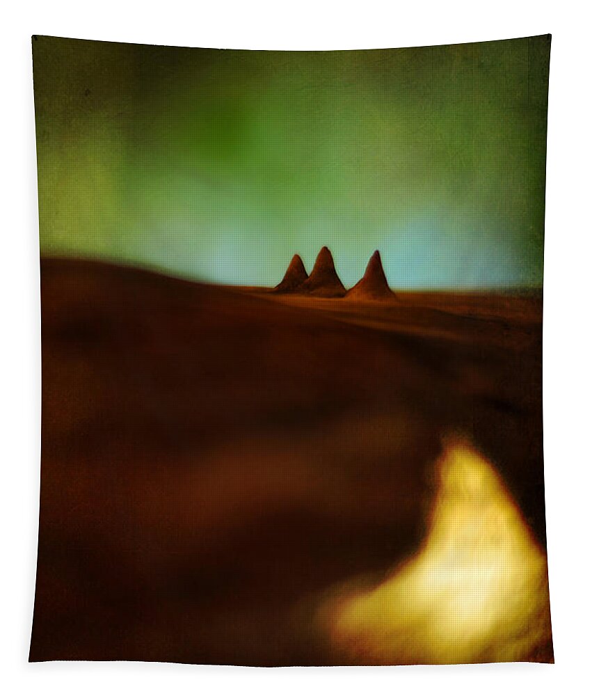 Miniature Landscape Tapestry featuring the photograph Fairies Giza by Rebecca Sherman