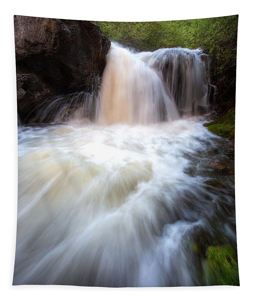 Waterfall Tapestry featuring the photograph Fall and Splash by David Andersen