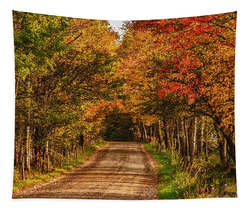 Peacham Vermont Tapestry featuring the photograph Fall color along a dirt backroad by Jeff Folger