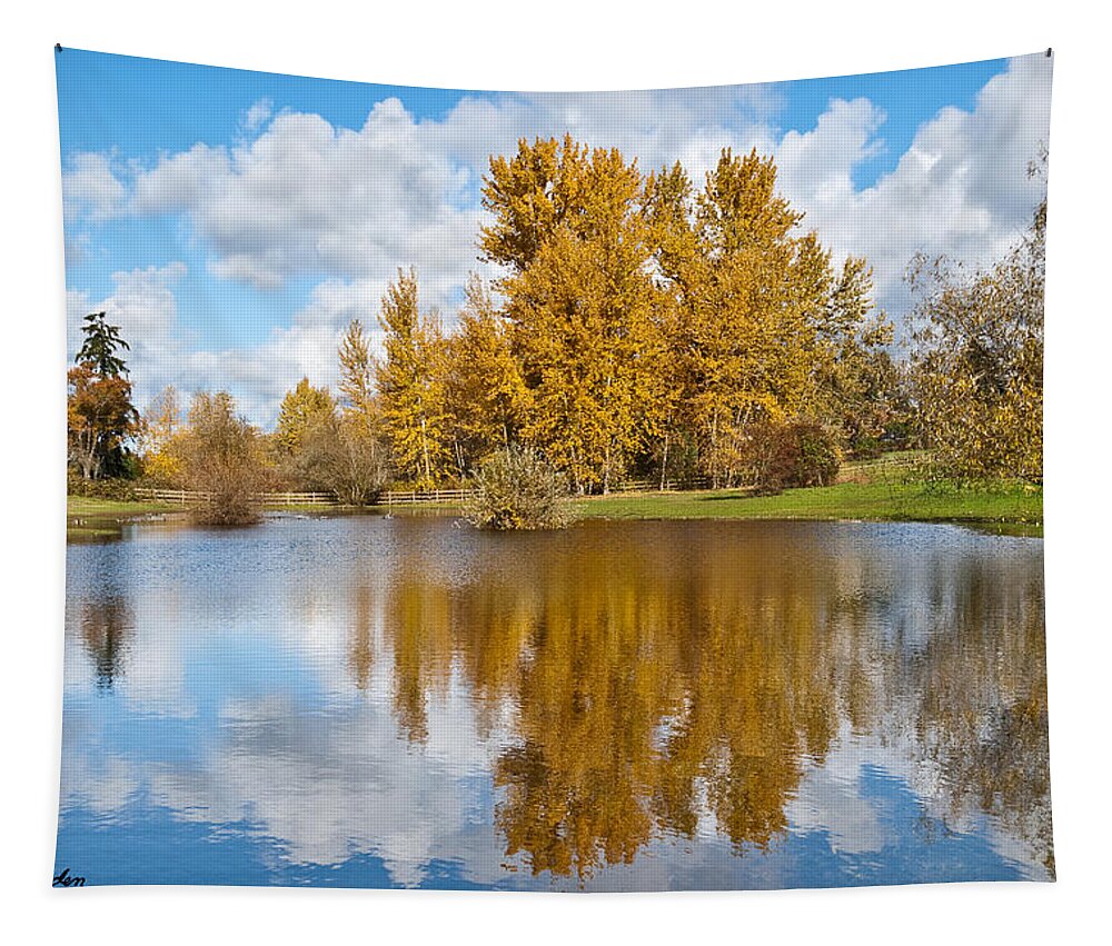 Agricultural Activity Tapestry featuring the photograph Fall Colors and Clouds Reflected in a Pond by Jeff Goulden