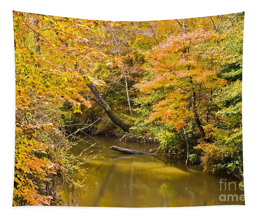 Michael Tidwell Photography Tapestry featuring the photograph Fall Creek Foliage by Michael Tidwell