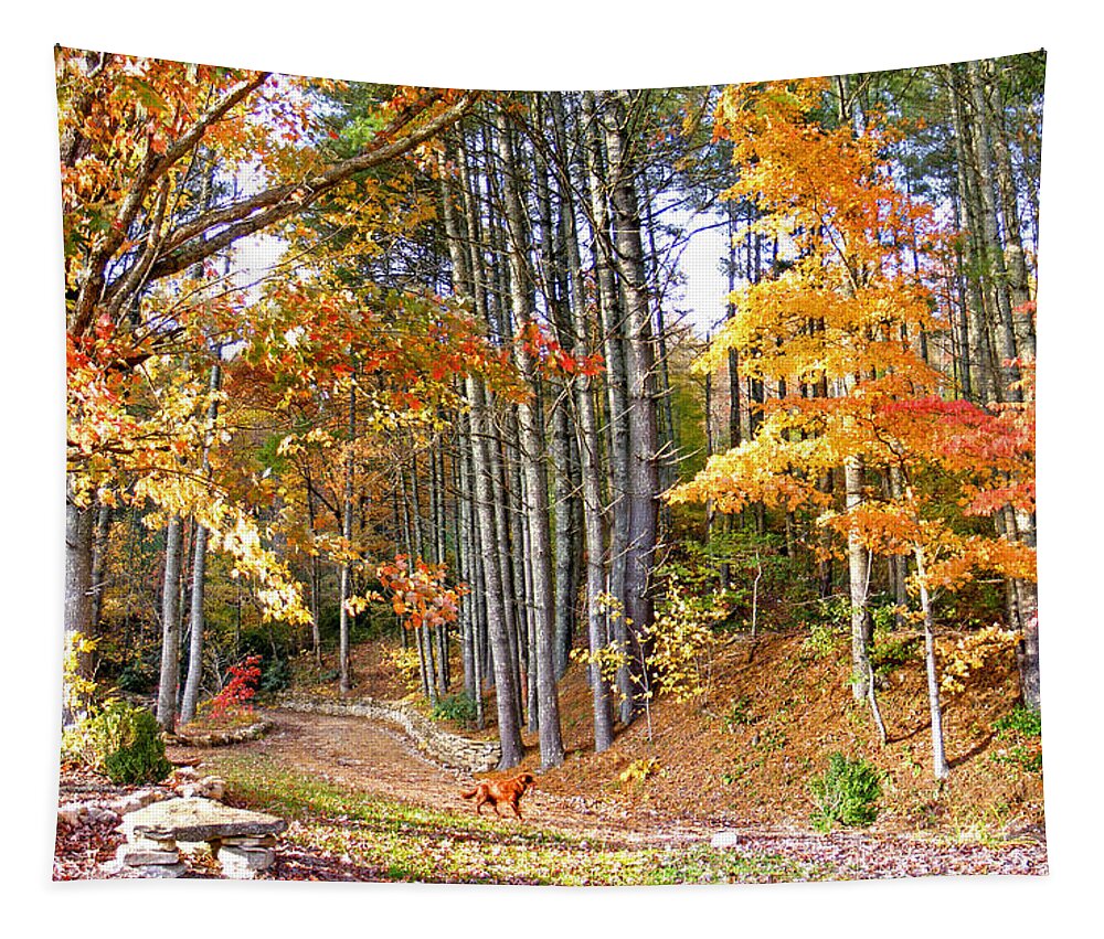 Landscapes Tapestry featuring the photograph Fall Driveway and Coco the Dog by Duane McCullough