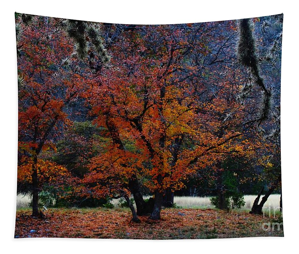 Michael Tidwell Photography Tapestry featuring the photograph Fall Foliage at Lost Maples State Park by Michael Tidwell
