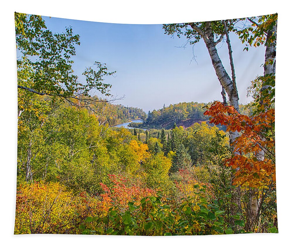 Tree Tapestry featuring the photograph Fall in Gooseberry State Park by John M Bailey