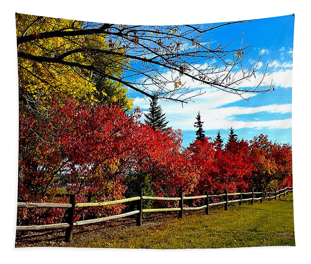 Fall Tapestry featuring the photograph Fall Lineup by Susan Kinney