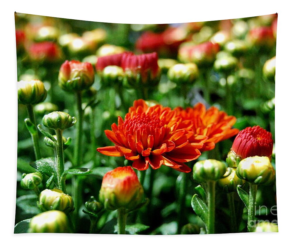 Fall Color Tapestry featuring the photograph Fall Mums Open by Eunice Miller