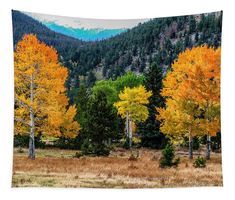 Fall Trees Tapestry featuring the photograph Fall Trees by Juli Ellen