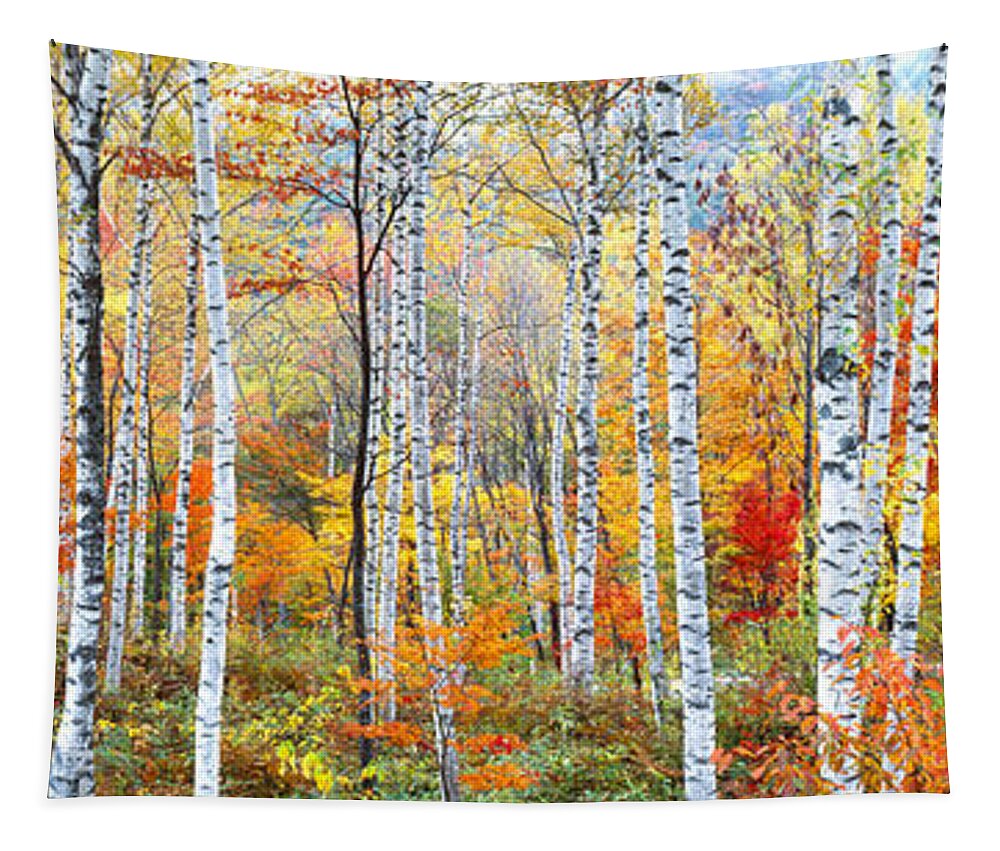 Photography Tapestry featuring the photograph Fall Trees, Shinhodaka, Gifu, Japan by Panoramic Images