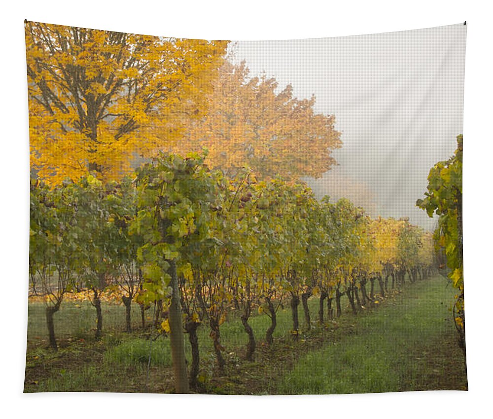 Jean Noren Tapestry featuring the photograph Fall Vineyard Colors by Jean Noren