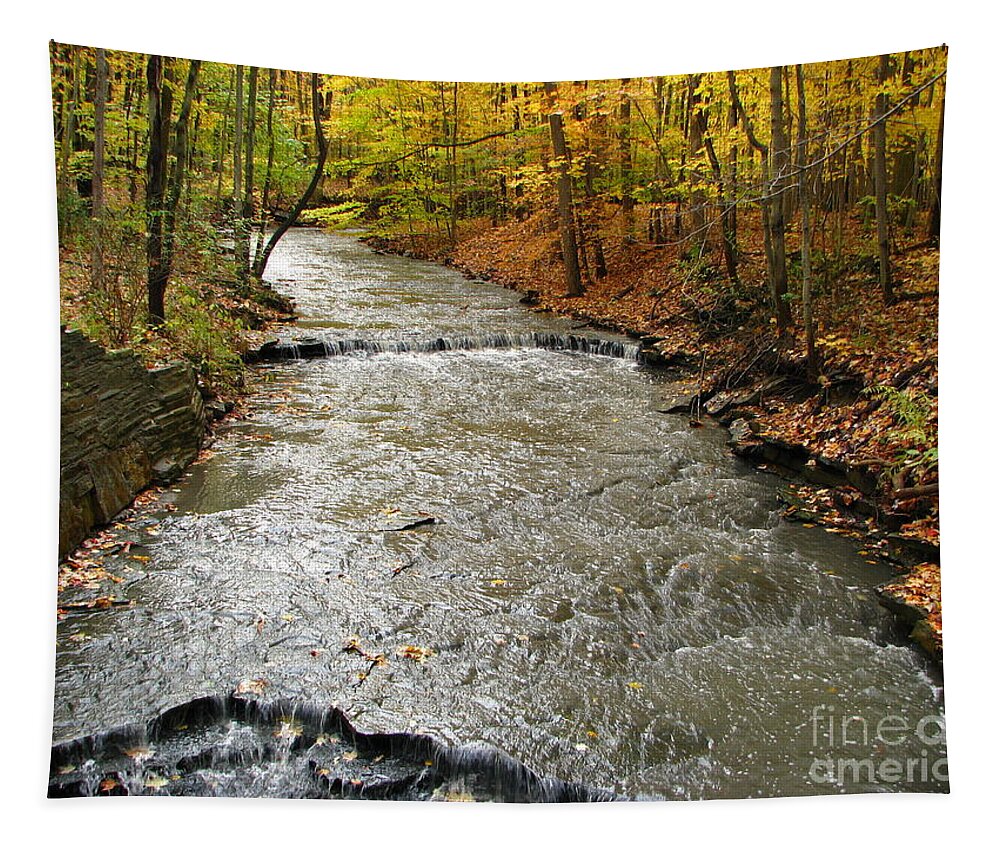 Creek Tapestry featuring the photograph Fall Waters by Michael Krek