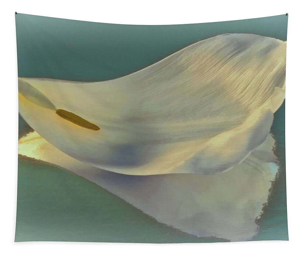 Flower Tapestry featuring the photograph Fallen White Petal on Aqua by Phyllis Meinke