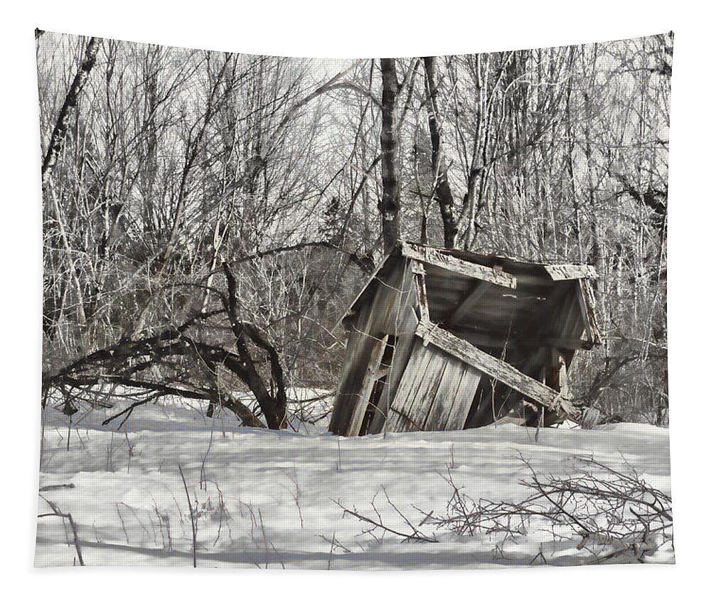 Outbuilding Tapestry featuring the photograph Falling In by Sue Capuano