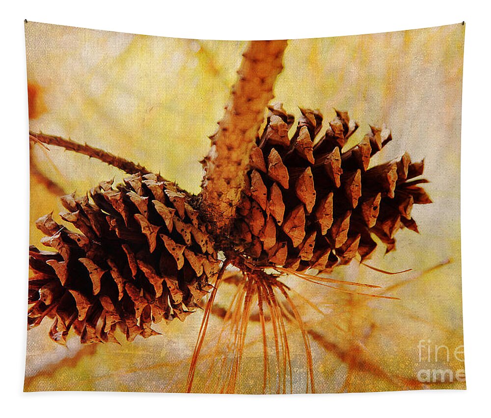 Pinecones Tapestry featuring the photograph Fall's Golden Light by Trina Ansel