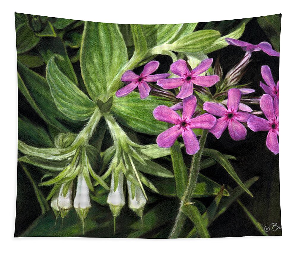 Wildflowers Tapestry featuring the drawing False Gromwell with Prairie Phlox by Bruce Morrison
