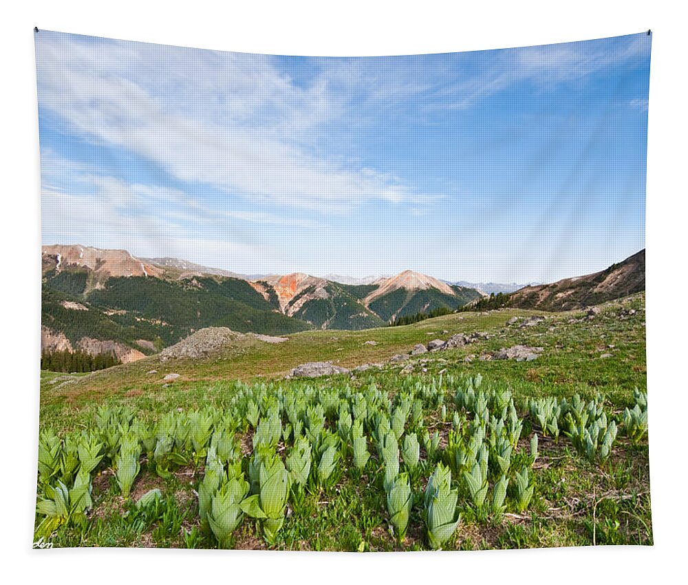 Barren Tapestry featuring the photograph False Hellebore in the Evening Light by Jeff Goulden