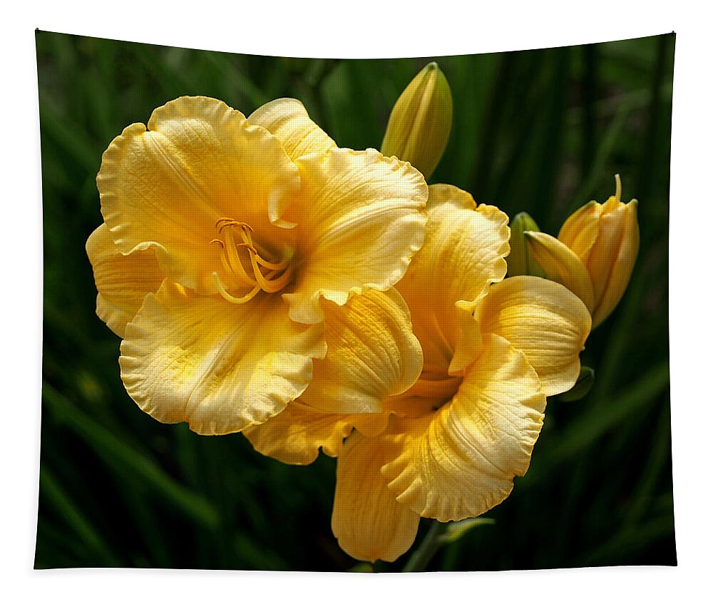 Lilies Tapestry featuring the photograph Fancy Yellow Daylilies by Rona Black
