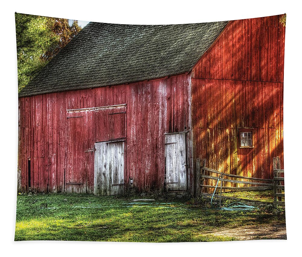 Savad Tapestry featuring the photograph Farm - Barn - The old red barn by Mike Savad