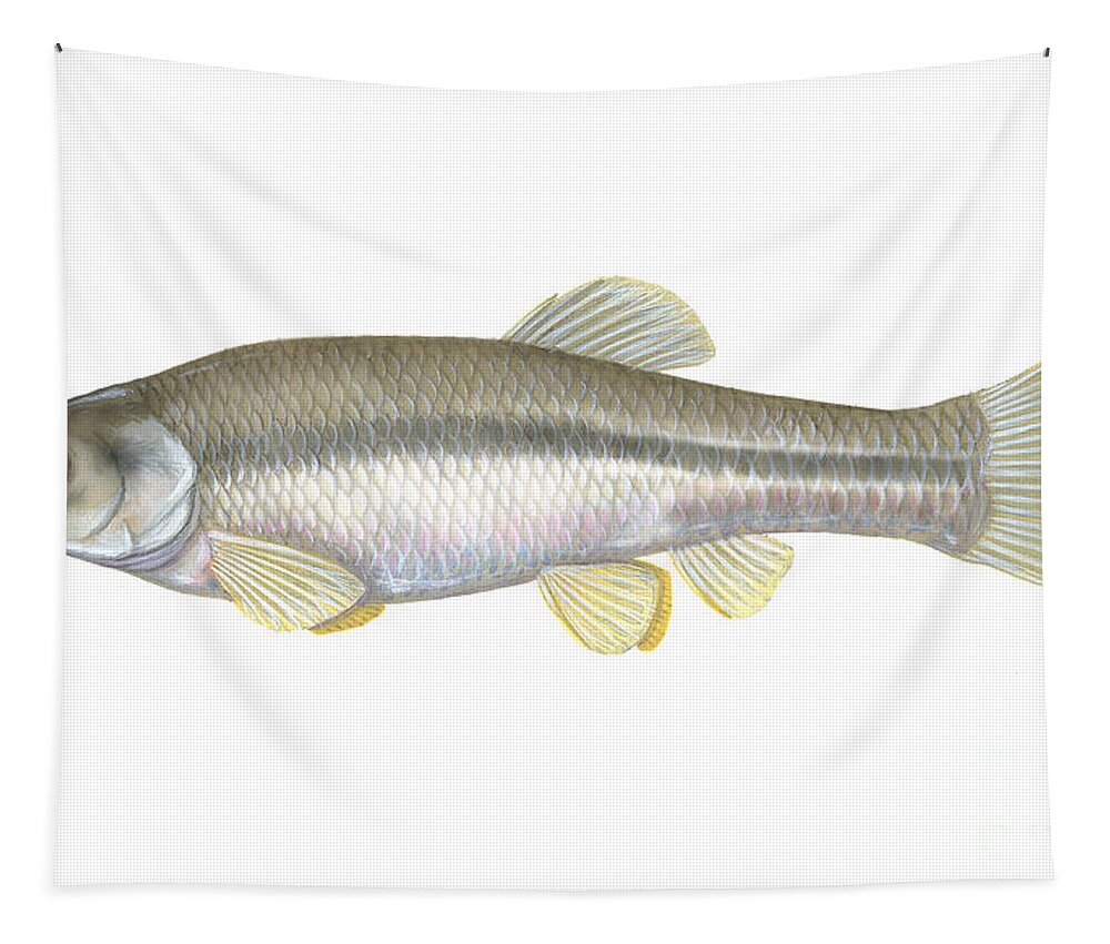 Fathead Minnow Tapestry by Carlyn Iverson - Fine Art America
