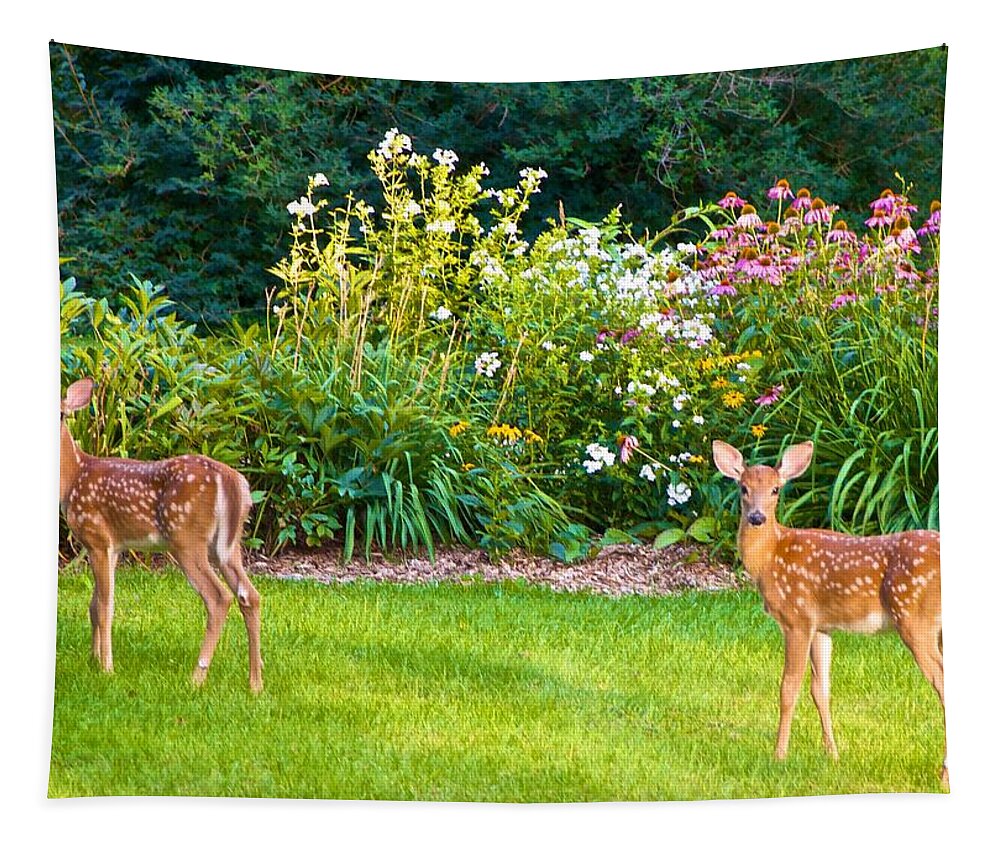 Deer Tapestry featuring the photograph Fawns in the Afternoon Sun by Kristin Hatt