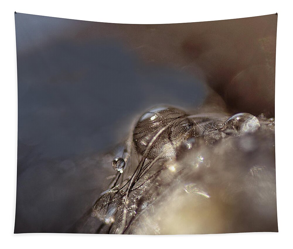 Water Drops Tapestry featuring the photograph Feathers and Pearls by Sue Capuano