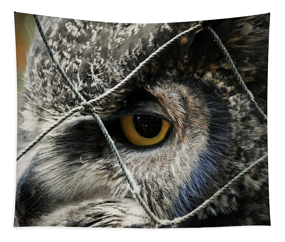 Great Horned Owl Tapestry featuring the photograph Feeling Blue by Zinvolle Art