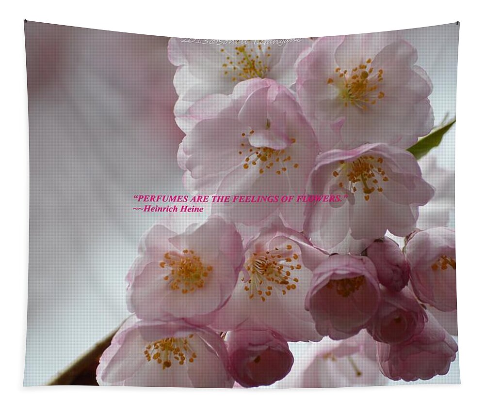 Pink Blossoms Tapestry featuring the photograph Feelings of Flowers by Sonali Gangane