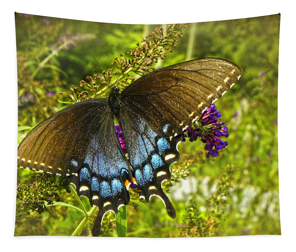 Eastern Tiger Swallowtail Butterfly Tapestry featuring the photograph Female Eastern Tiger Swallowtail Butterfly by Sandi OReilly