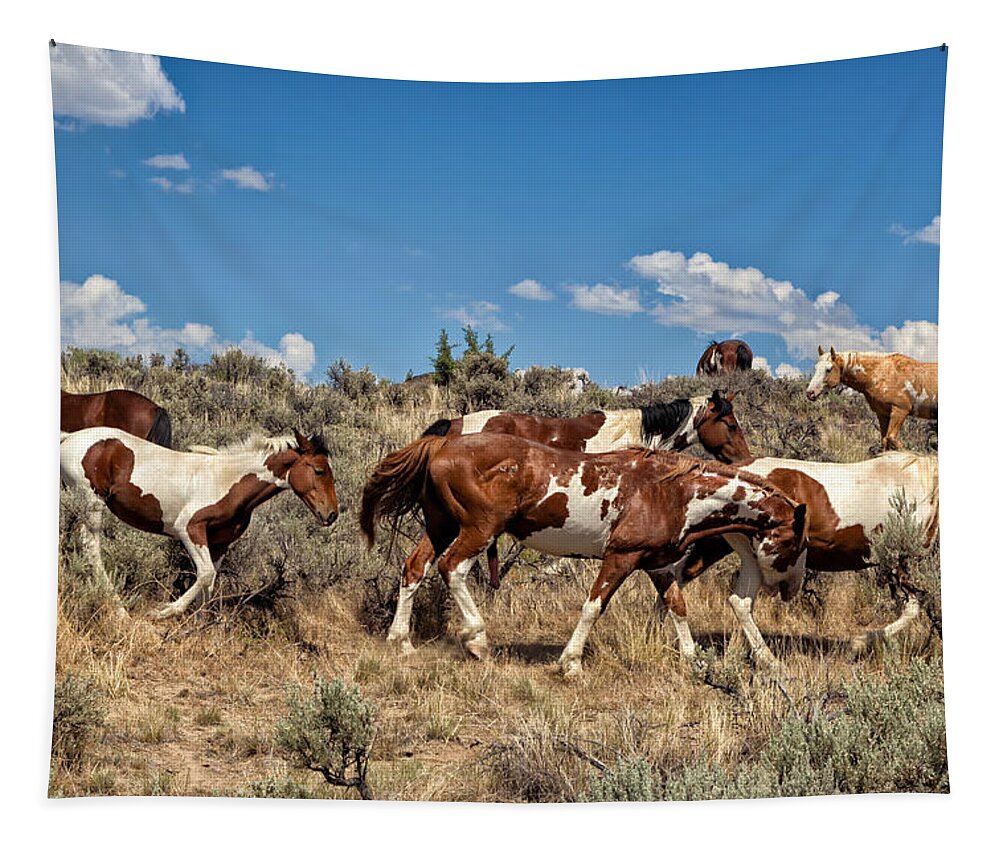 Feral Horses Tapestry featuring the photograph Feral and Free by Kathleen Bishop