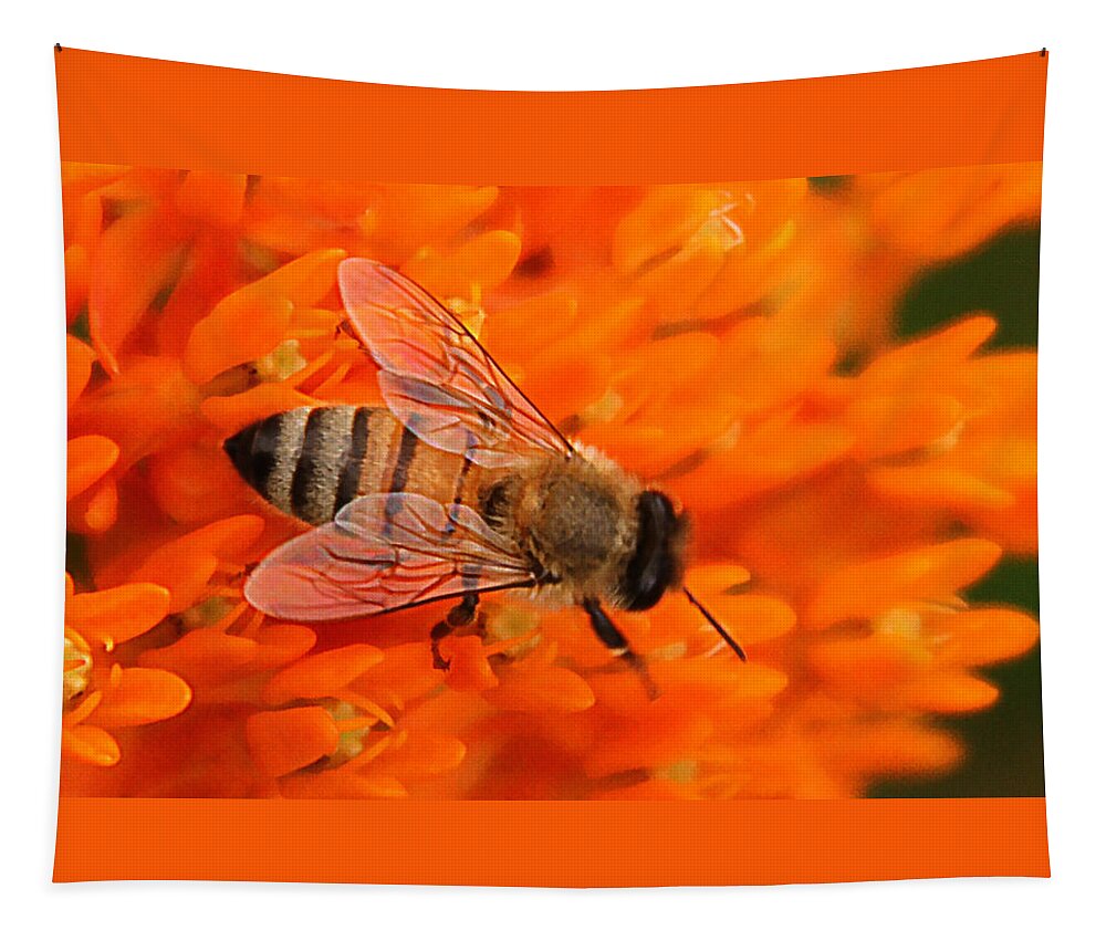 Orange Flower Tapestry featuring the photograph Ff-17 by David Yocum