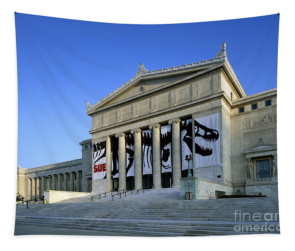 Field Tapestry featuring the photograph Field Museum Of Natural History by Rafael Macia