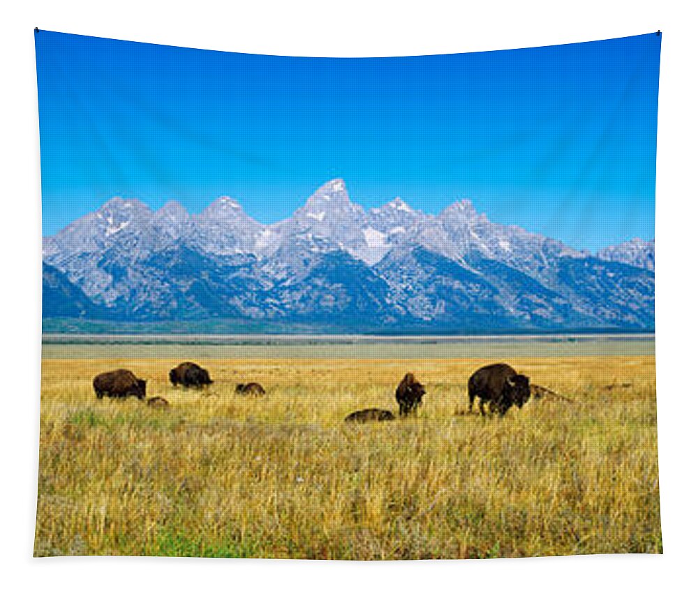 Photography Tapestry featuring the photograph Field Of Bison With Mountains by Panoramic Images