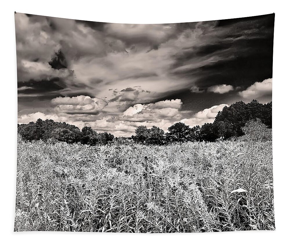 Black And White Tapestry featuring the photograph Fields of Gold and Clouds by Mitchell R Grosky
