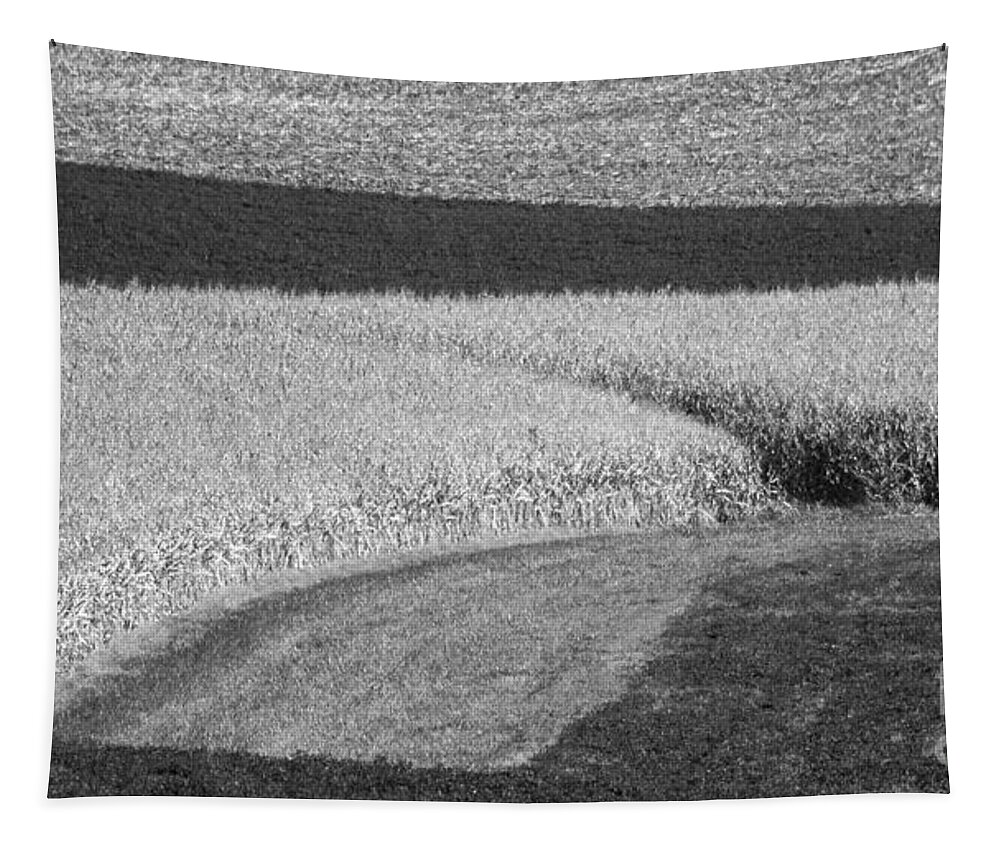 Fields Tapestry featuring the photograph Corn Fields near Madison, WI by Steven Ralser