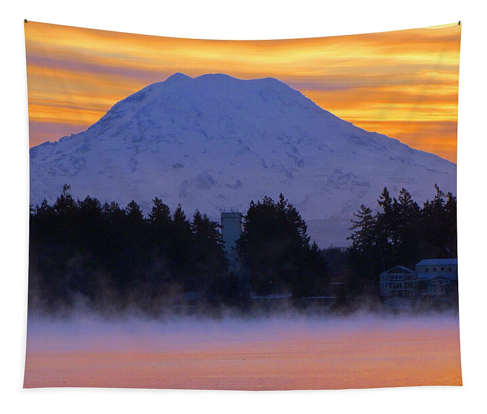 Dawn Tapestry featuring the photograph Fiery Dawn by Tikvah's Hope