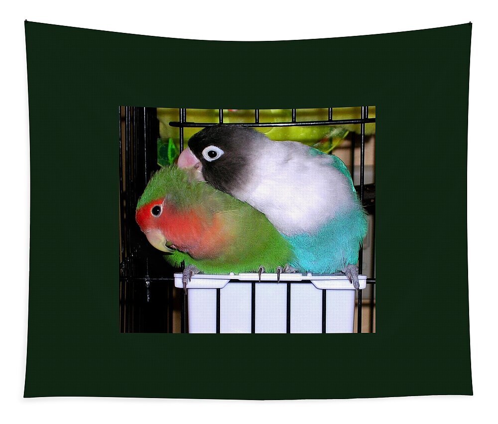 Love Birds Tapestry featuring the photograph Fifi and Tut by Rosanne Licciardi