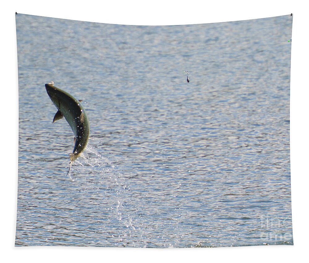 Chinook Salmon Tapestry featuring the photograph Fighting Chinook Salmon by Michael Dawson