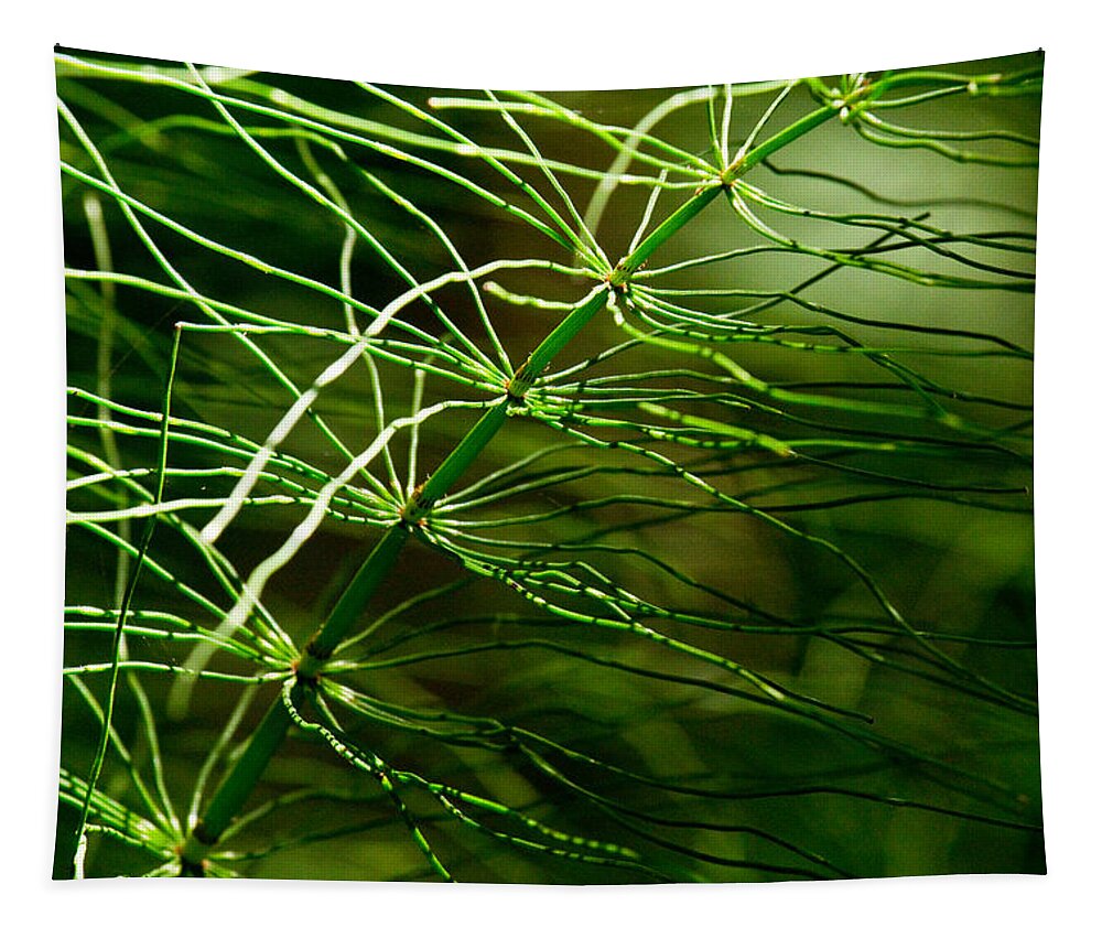 Green Tapestry featuring the photograph Filaments Green by Marie Jamieson
