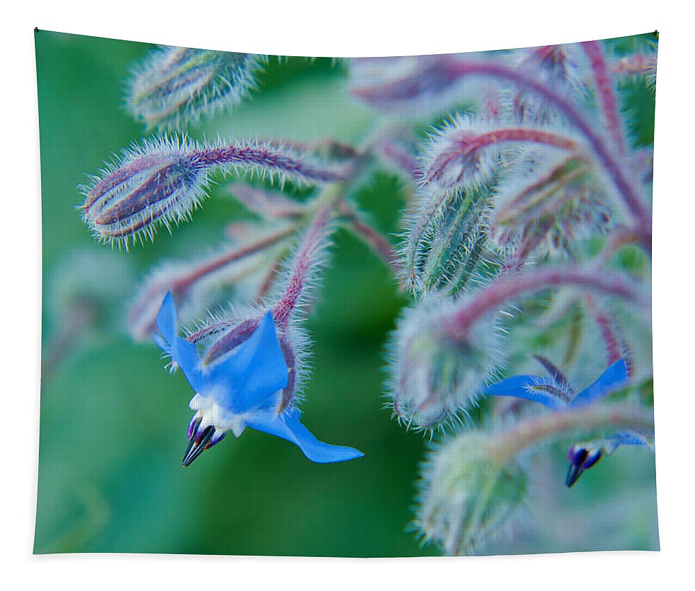Blue Tapestry featuring the photograph Fine Art Blue by Lisa Chorny