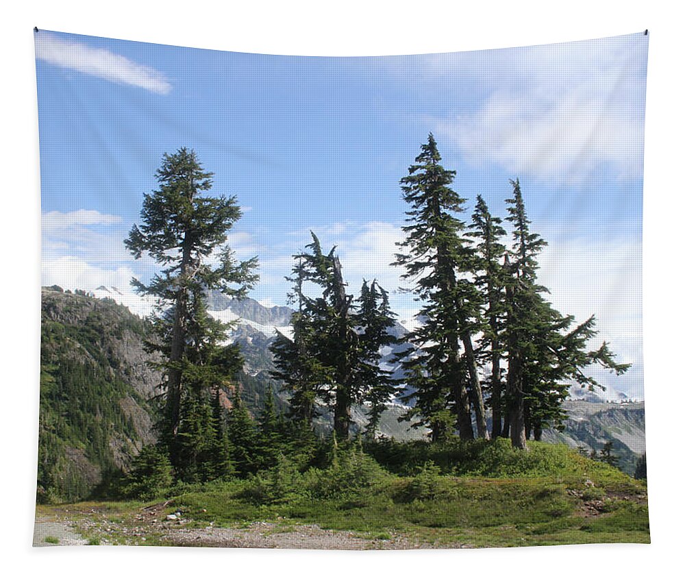 Fir Trees Tapestry featuring the photograph Fir Trees At mount Baker by Tom Janca