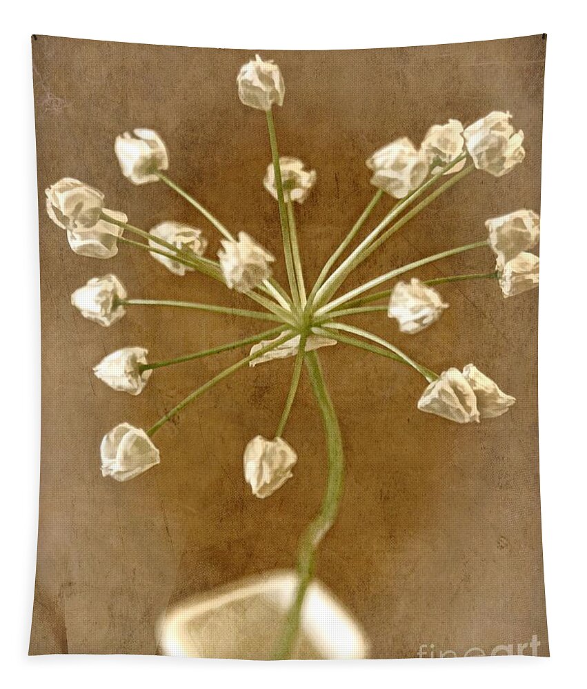 Seed Head Tapestry featuring the photograph Firecracker by Peggy Hughes