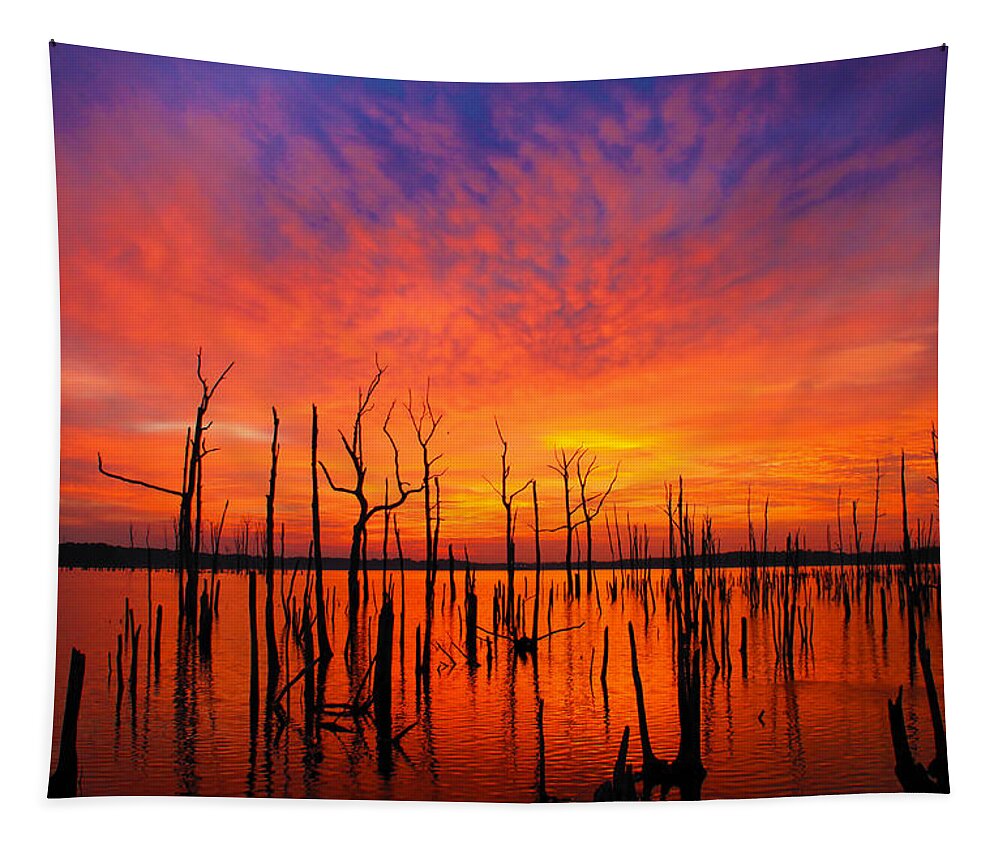 Sunrise Tapestry featuring the photograph Fired up Morn by Roger Becker