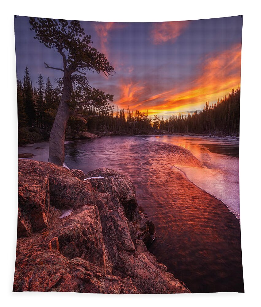 Sunrise Tapestry featuring the photograph First Light by Darren White