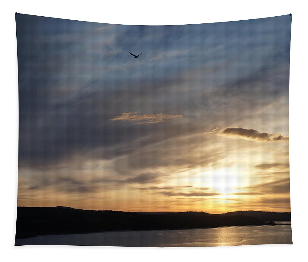 Firth Of Forth Tapestry featuring the photograph Firth of Forth in the sunset by Elena Perelman